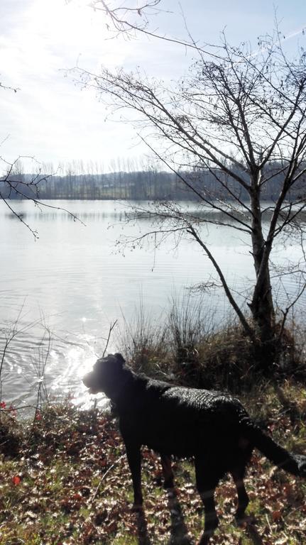 Gite Au Lac Du Gouyre Puygaillard-de-Quercy エクステリア 写真