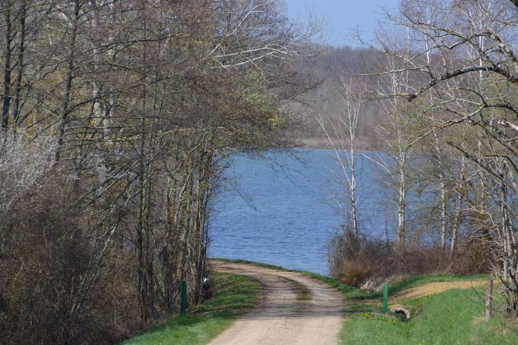 Gite Au Lac Du Gouyre Puygaillard-de-Quercy エクステリア 写真