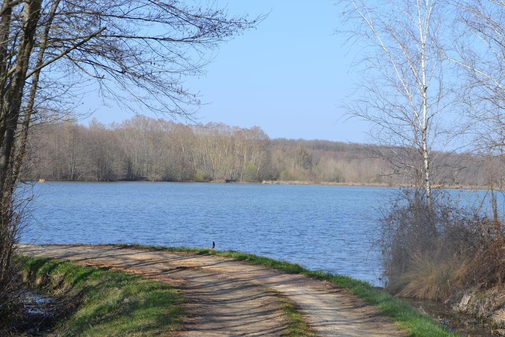 Gite Au Lac Du Gouyre Puygaillard-de-Quercy エクステリア 写真